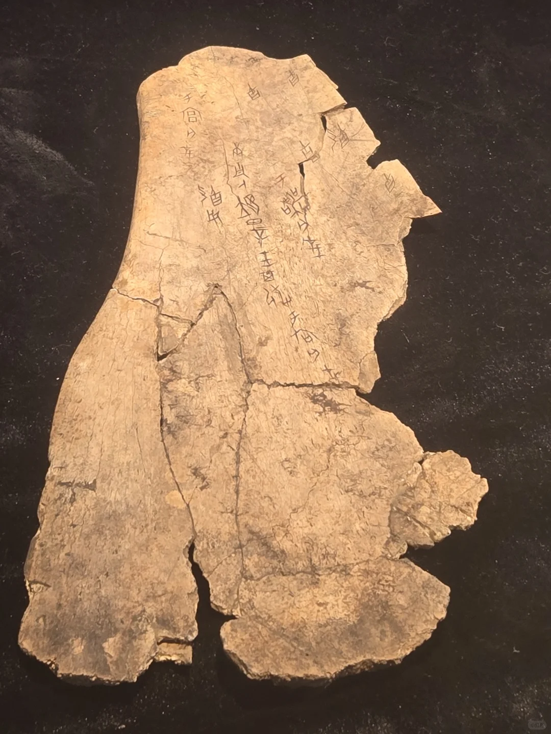 安阳｜一座被严重低估的宝藏旅行城市