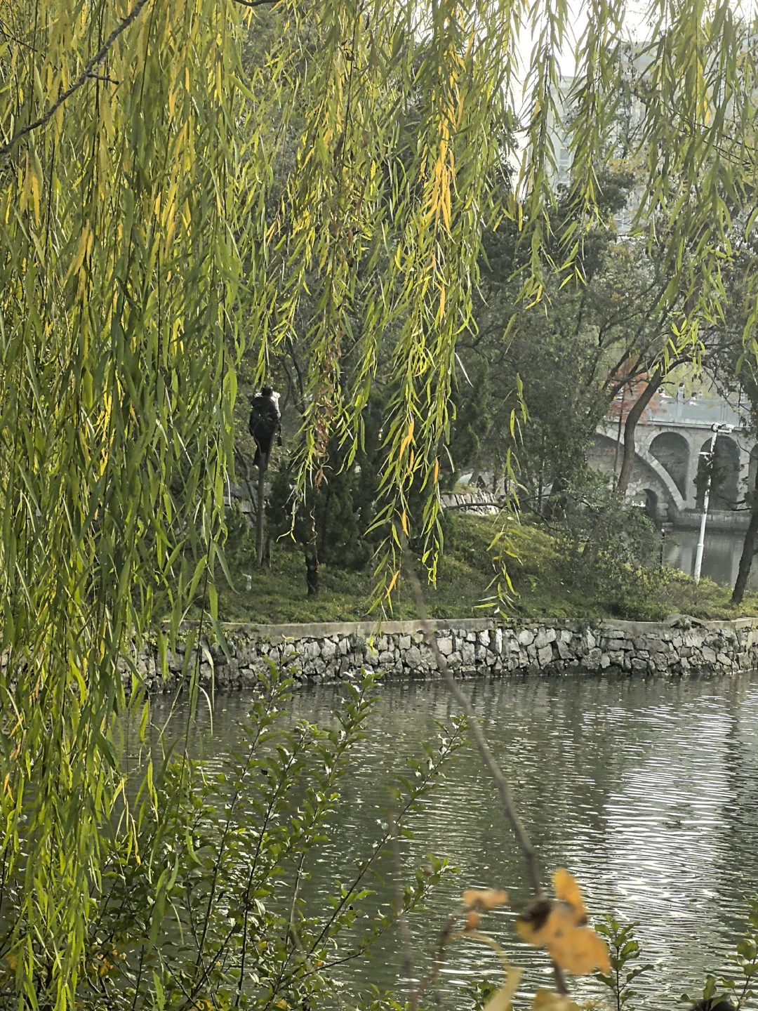 洹园独美 | 安阳有自己的江南