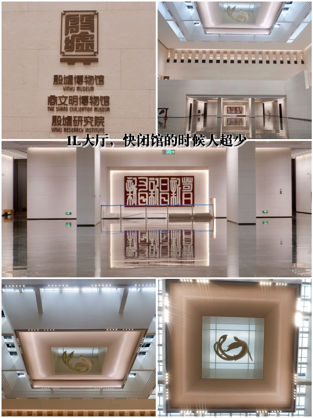 📚安阳殷墟博物馆丨穿越3000年的商朝之旅