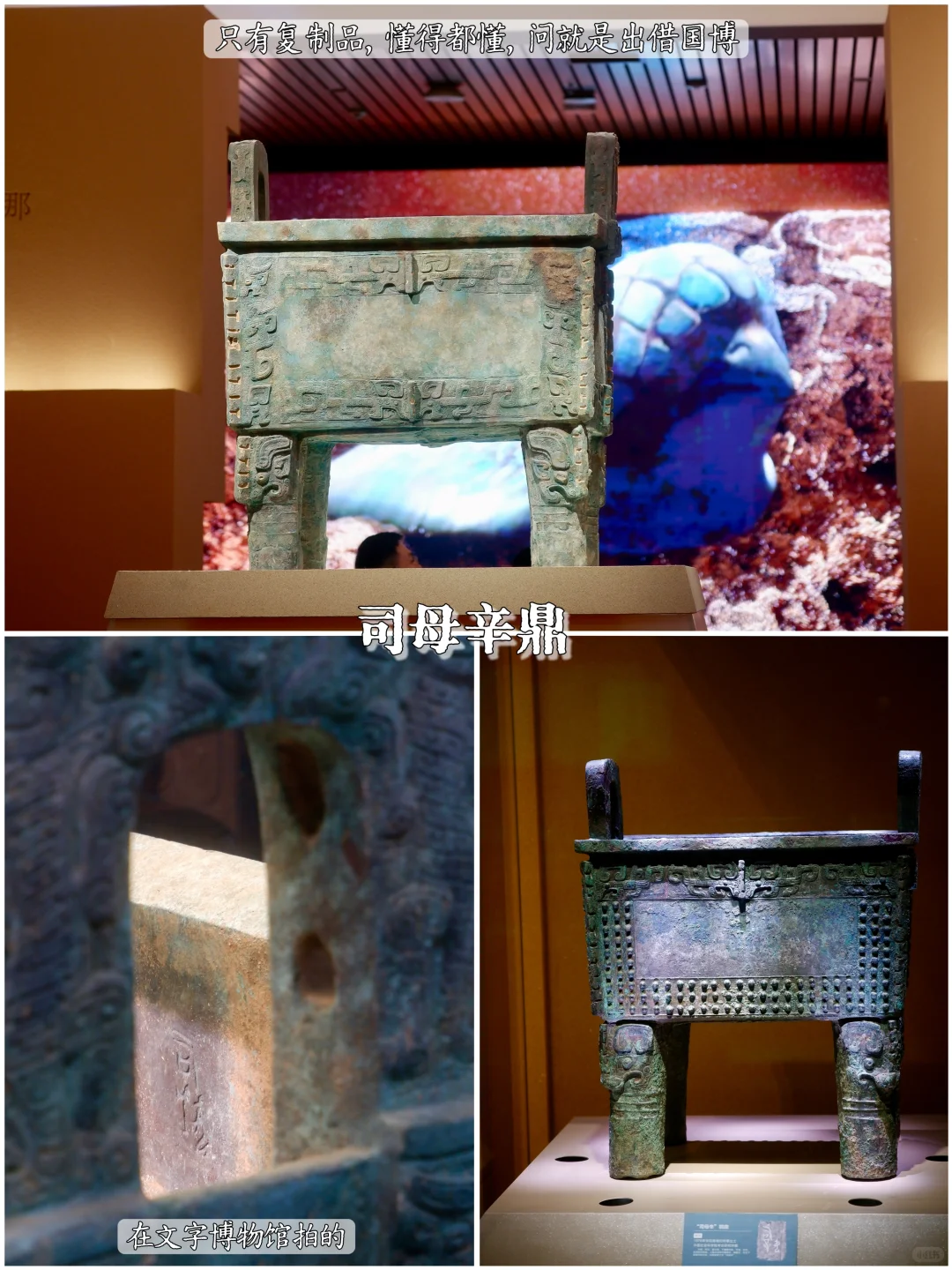 📚安阳殷墟博物馆丨穿越3000年的商朝之旅