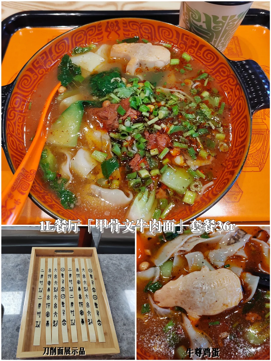 📚安阳殷墟博物馆丨穿越3000年的商朝之旅