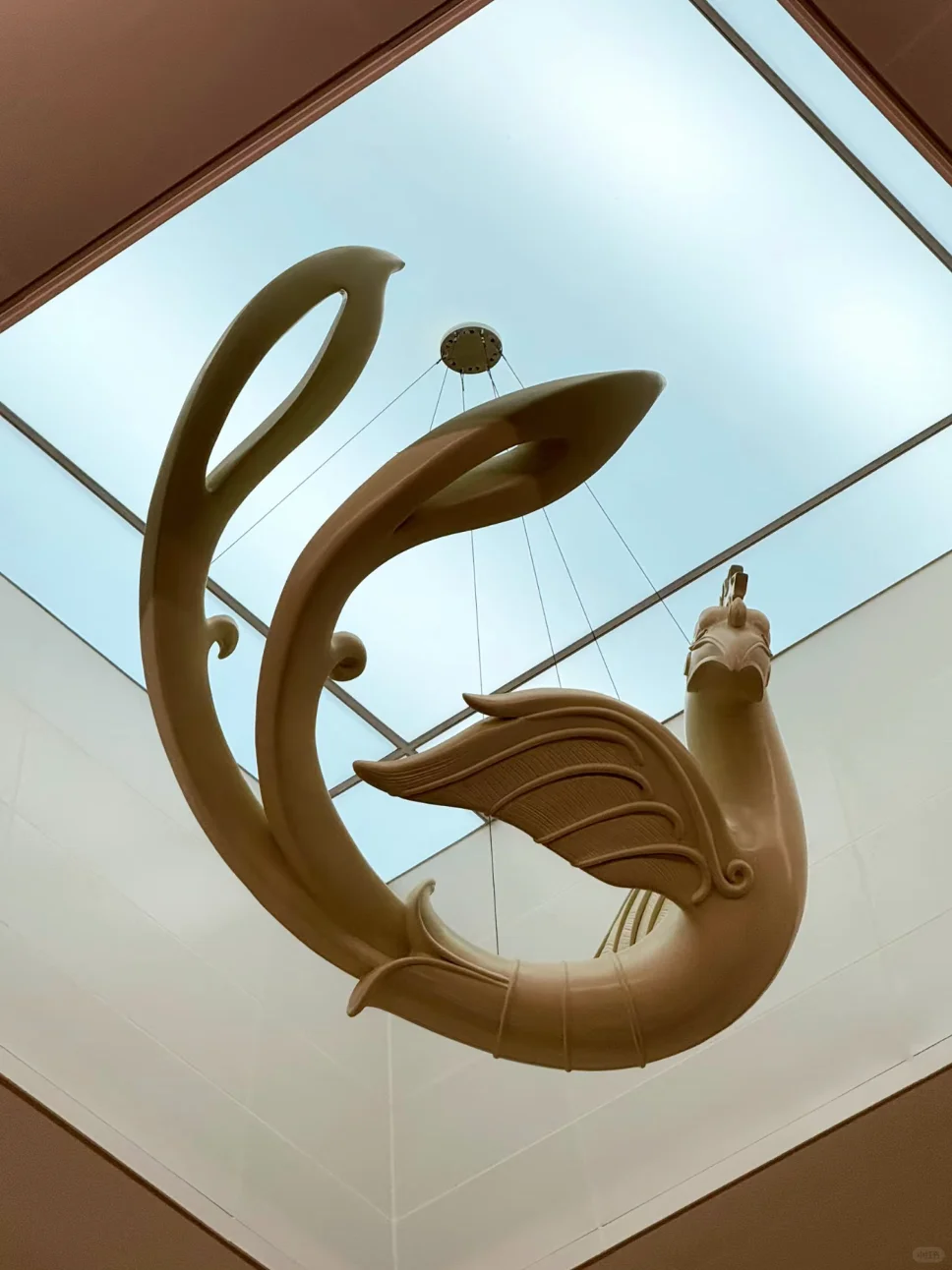 嘘！安阳把商朝的日记本挖出来了📖