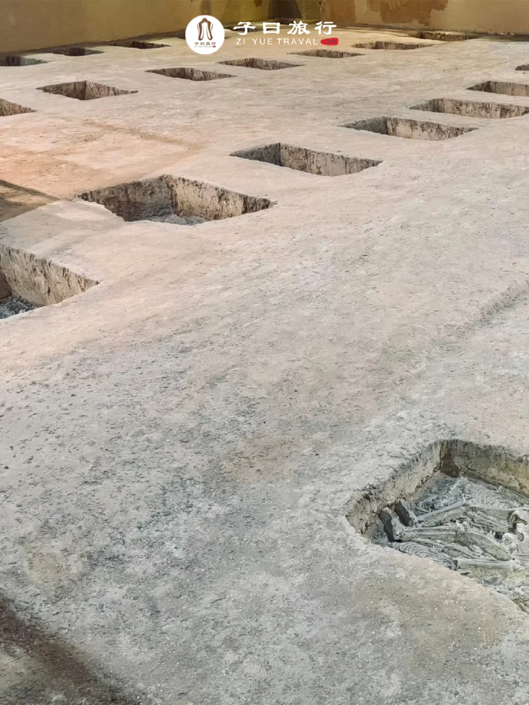 殷墟博物馆和遗址什么区别？咋逛？一篇搞懂