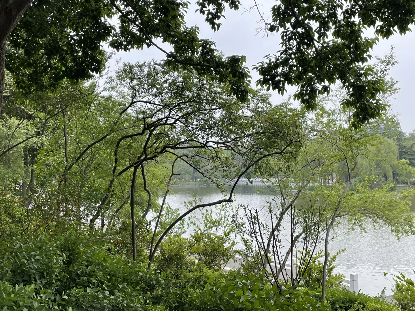 正点到站，安阳站🚉