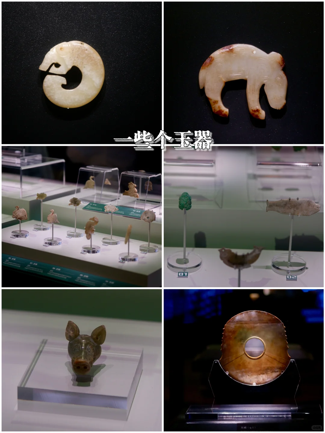 📚安阳殷墟博物馆丨穿越3000年的商朝之旅