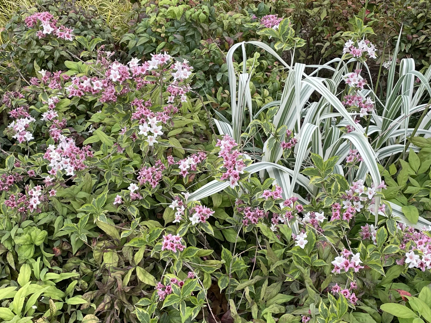 正点到站，安阳站🚉
