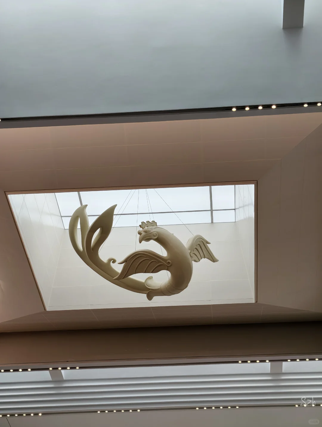 疯狂旅游记丨安阳DAY3