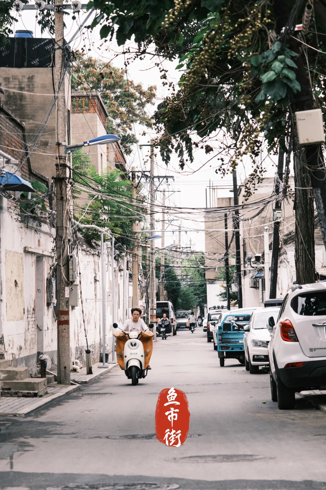 安阳 | 穿越三千年，七朝古都的时空漫步