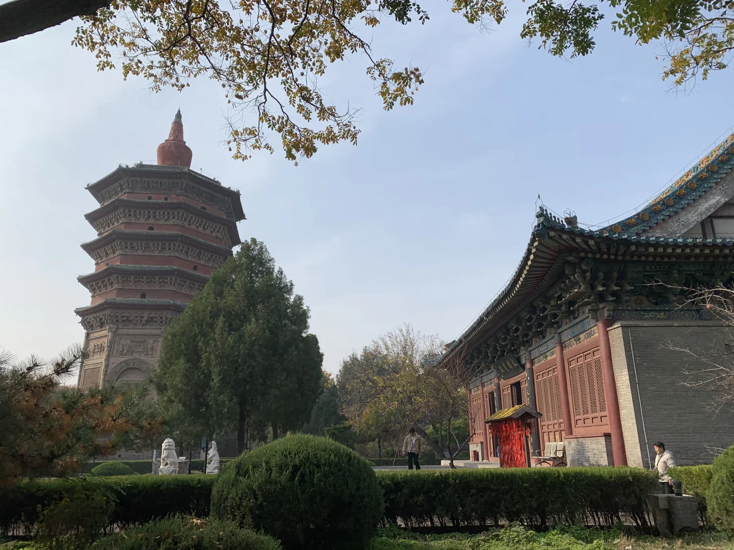 安阳 city walk (一)