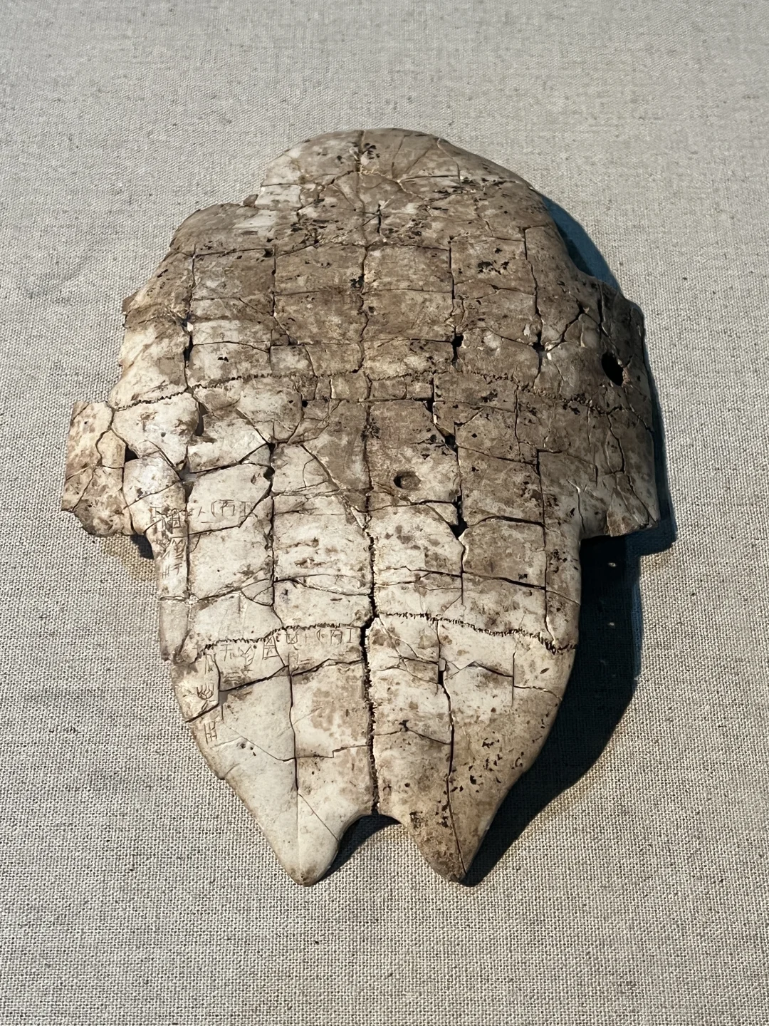 安阳旅行第一天