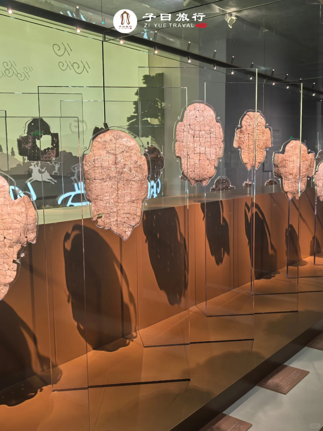 殷墟博物馆和遗址什么区别？咋逛？一篇搞懂