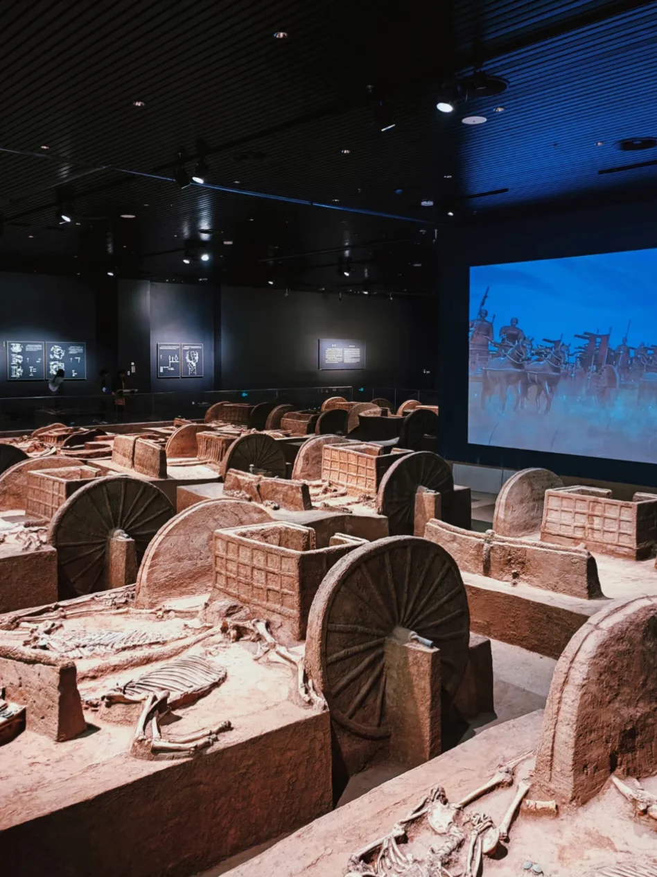 嘘！安阳把商朝的日记本挖出来了📖