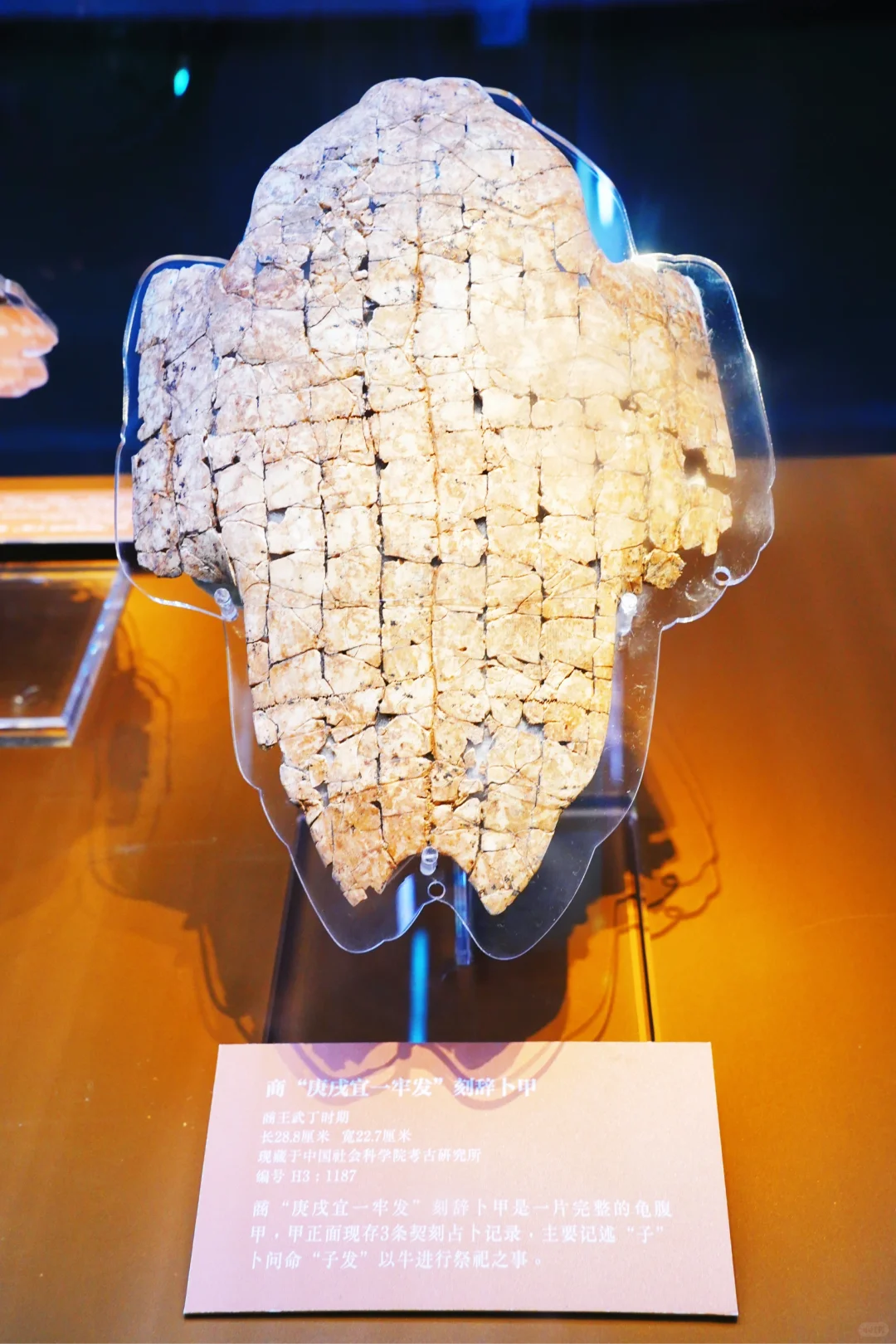 五一！安阳！两天！怒走 5 万步！！！