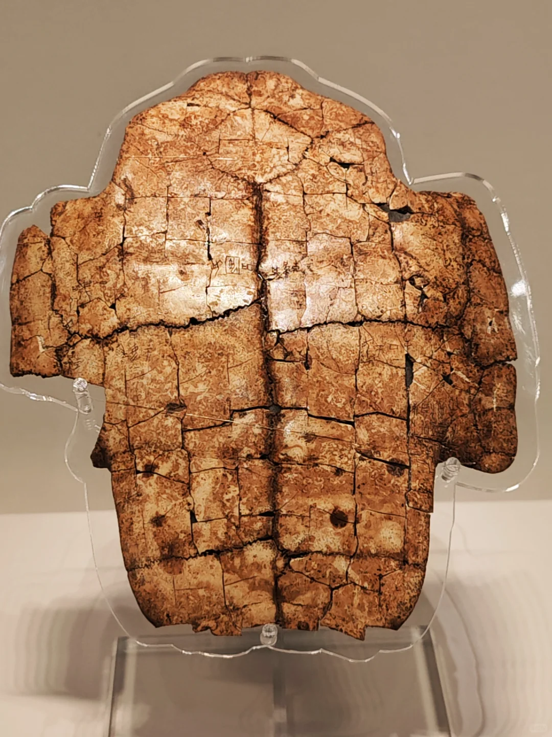 安阳旅游攻略大全