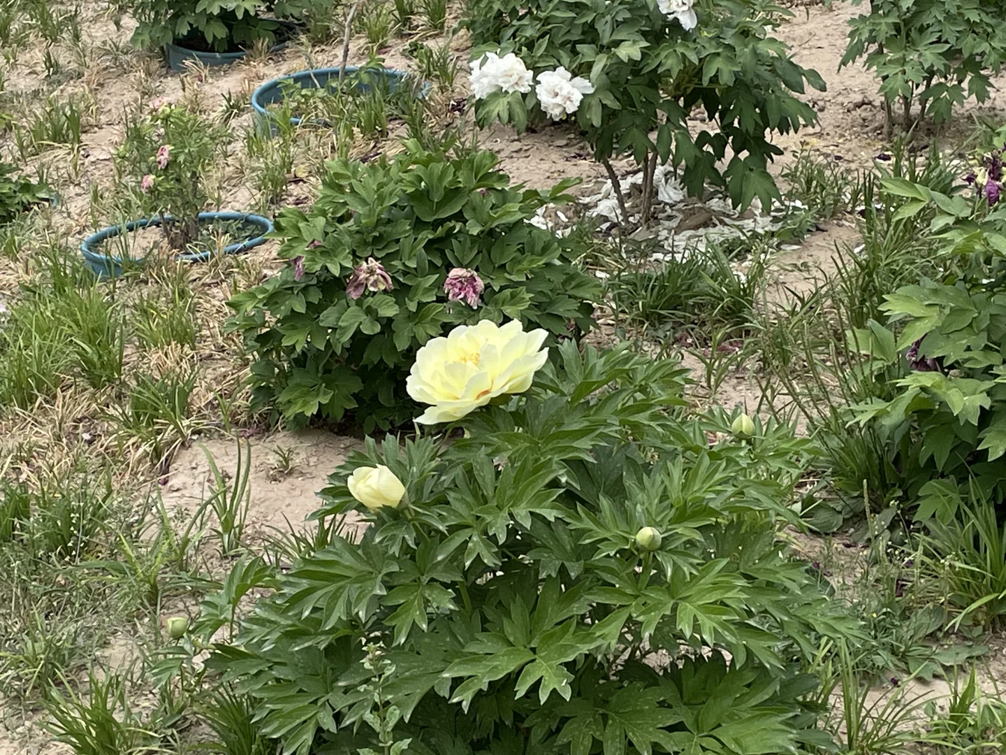 正点到站，安阳站🚉