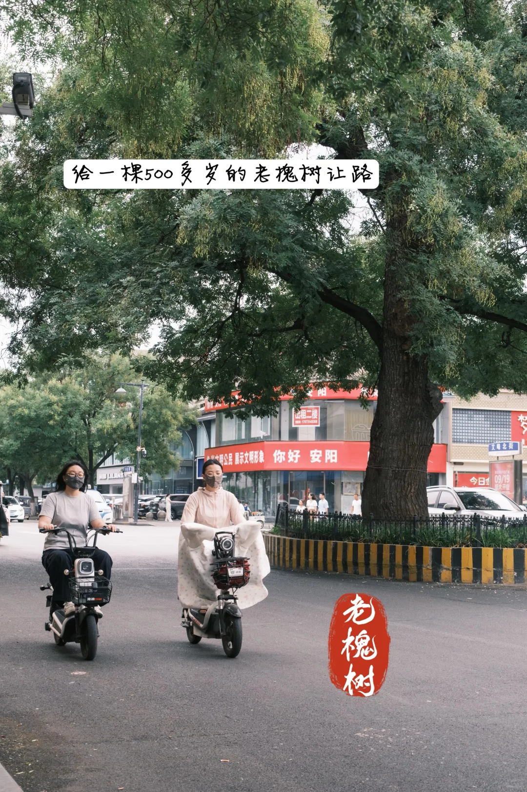 安阳 | 穿越三千年，七朝古都的时空漫步