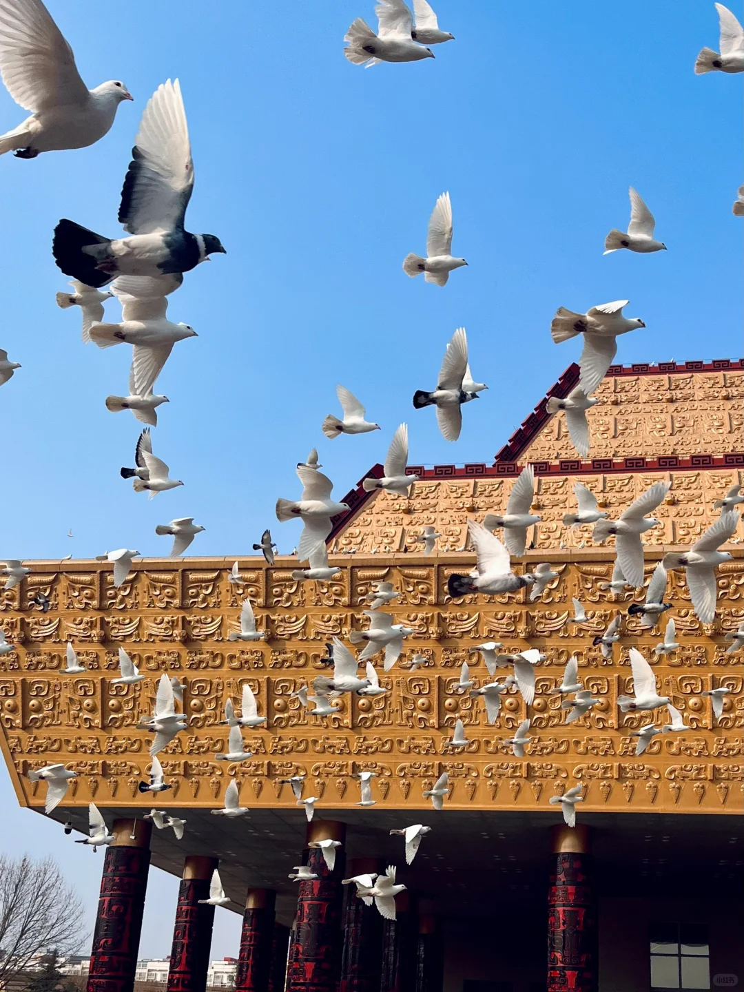 关于我一年内去了三次安阳