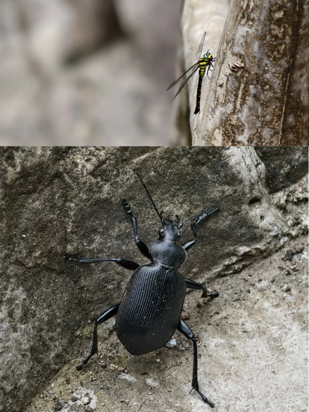 好爱林州这个有山有水的小镇