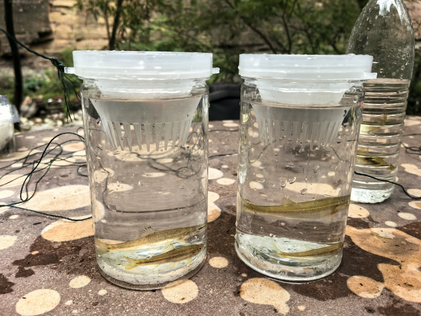 好爱林州这个有山有水的小镇