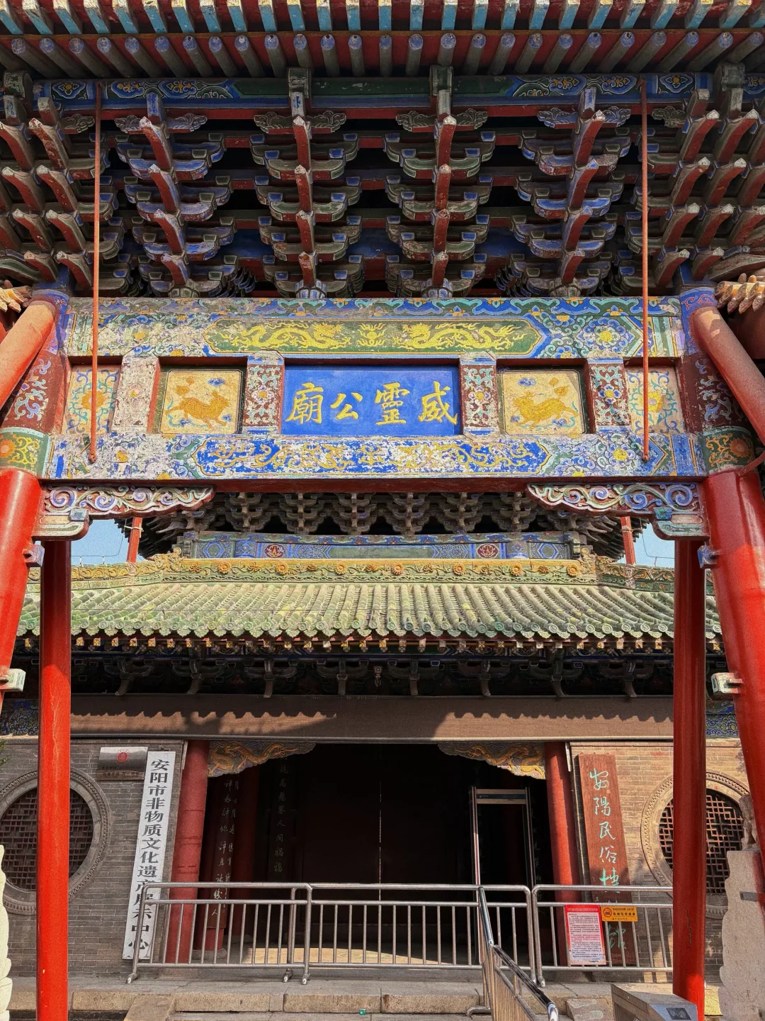 小王日记11月4日安阳day4