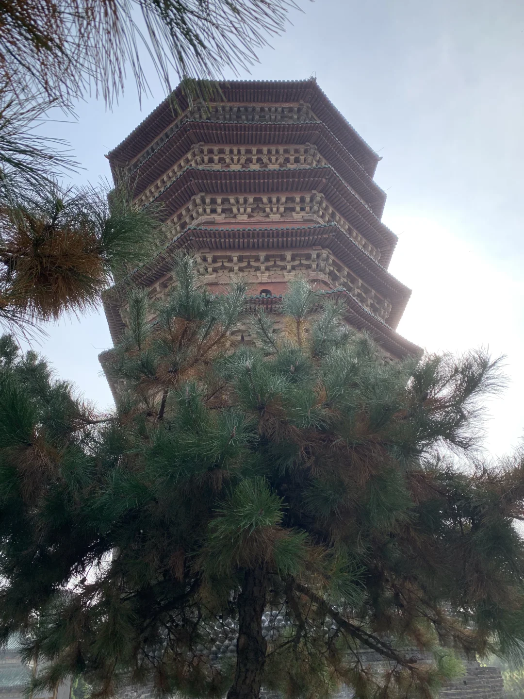 安阳 city walk (一)