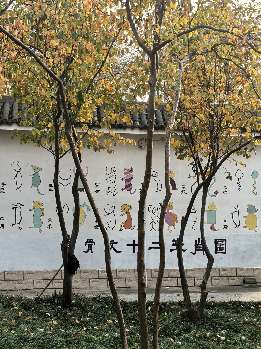 洹园独美 | 安阳有自己的江南