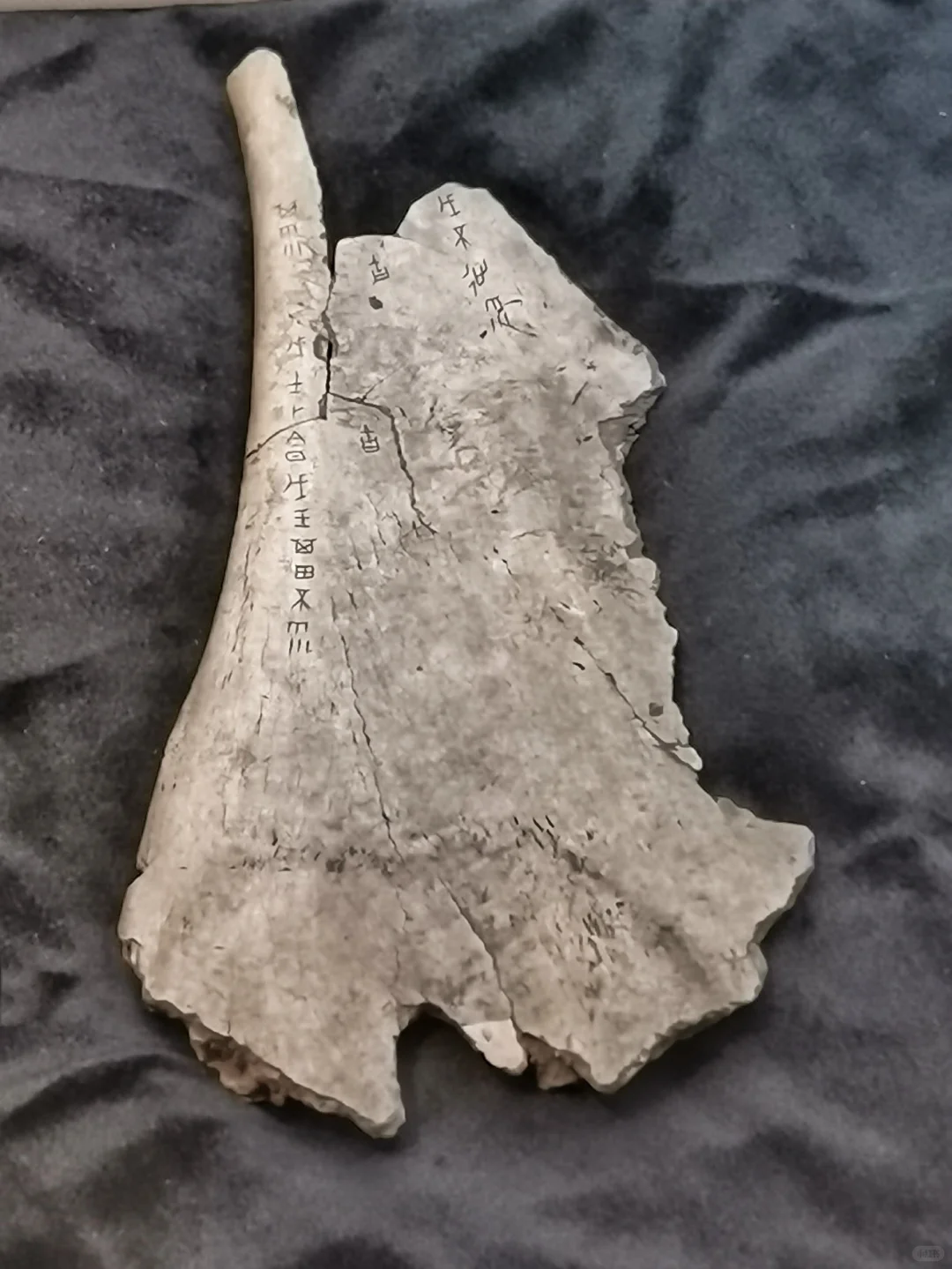 安阳游玩：第二次参观安阳市博物馆