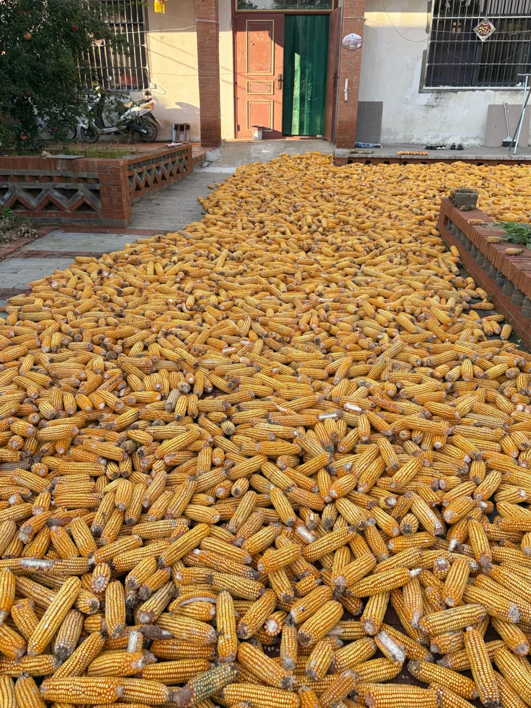 来到安阳🐾一座被低估了的宝藏小城