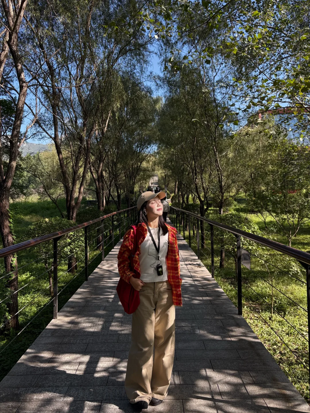 来到安阳🐾一座被低估了的宝藏小城