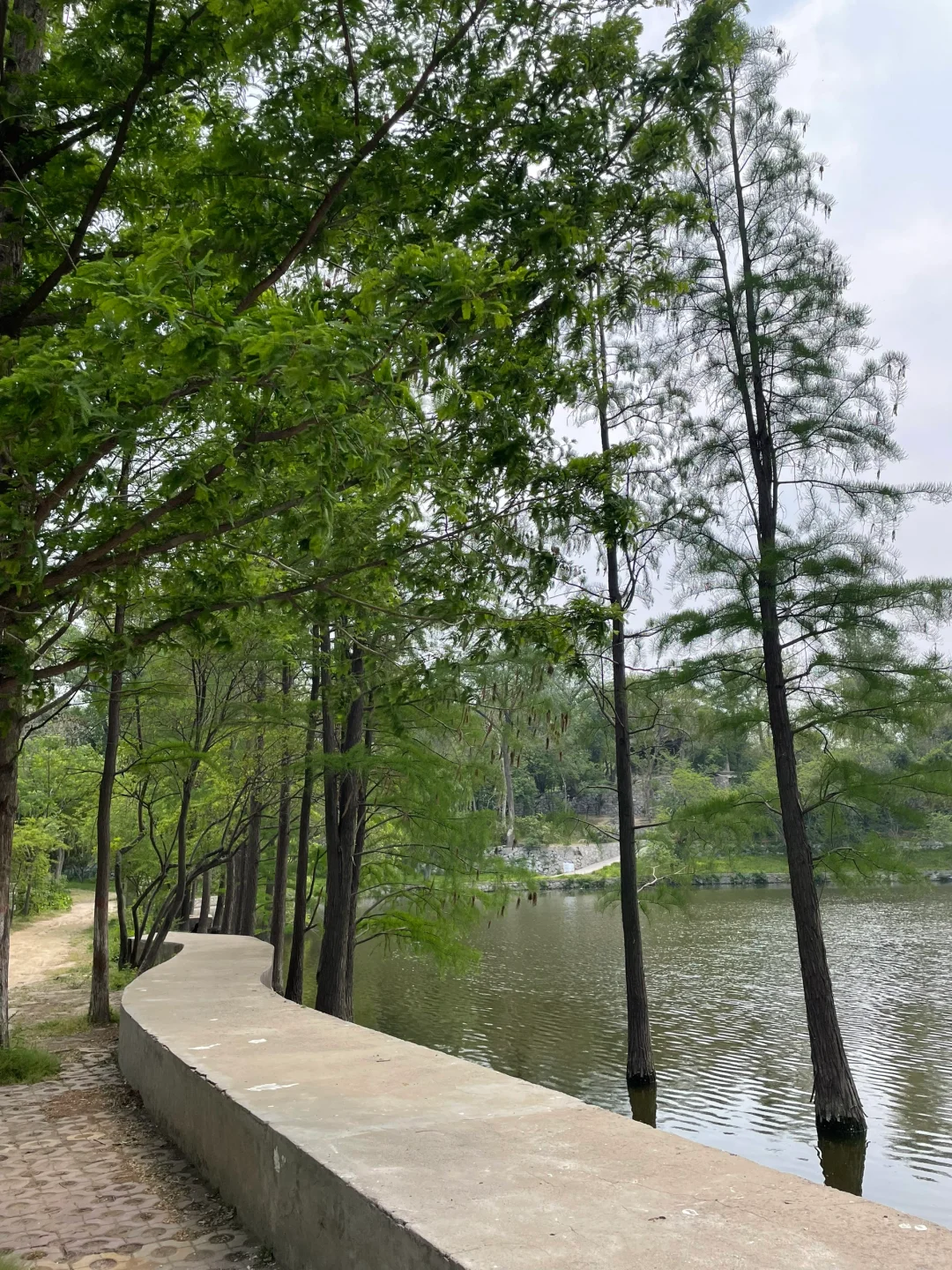 正点到站，安阳站🚉