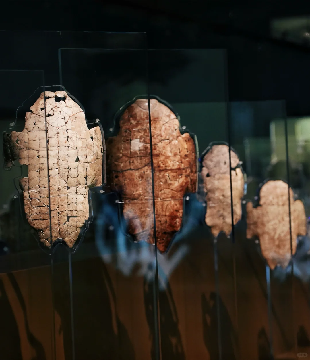 5.24 安阳 | 殷墟博物馆