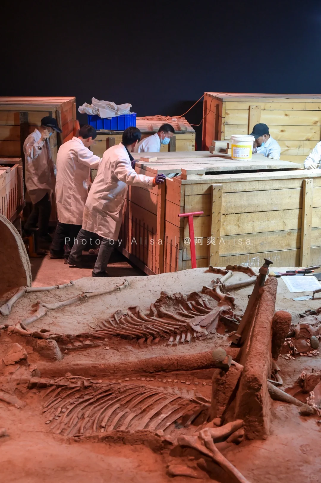 去了2次总结的安阳攻略，进来直接抄作业！