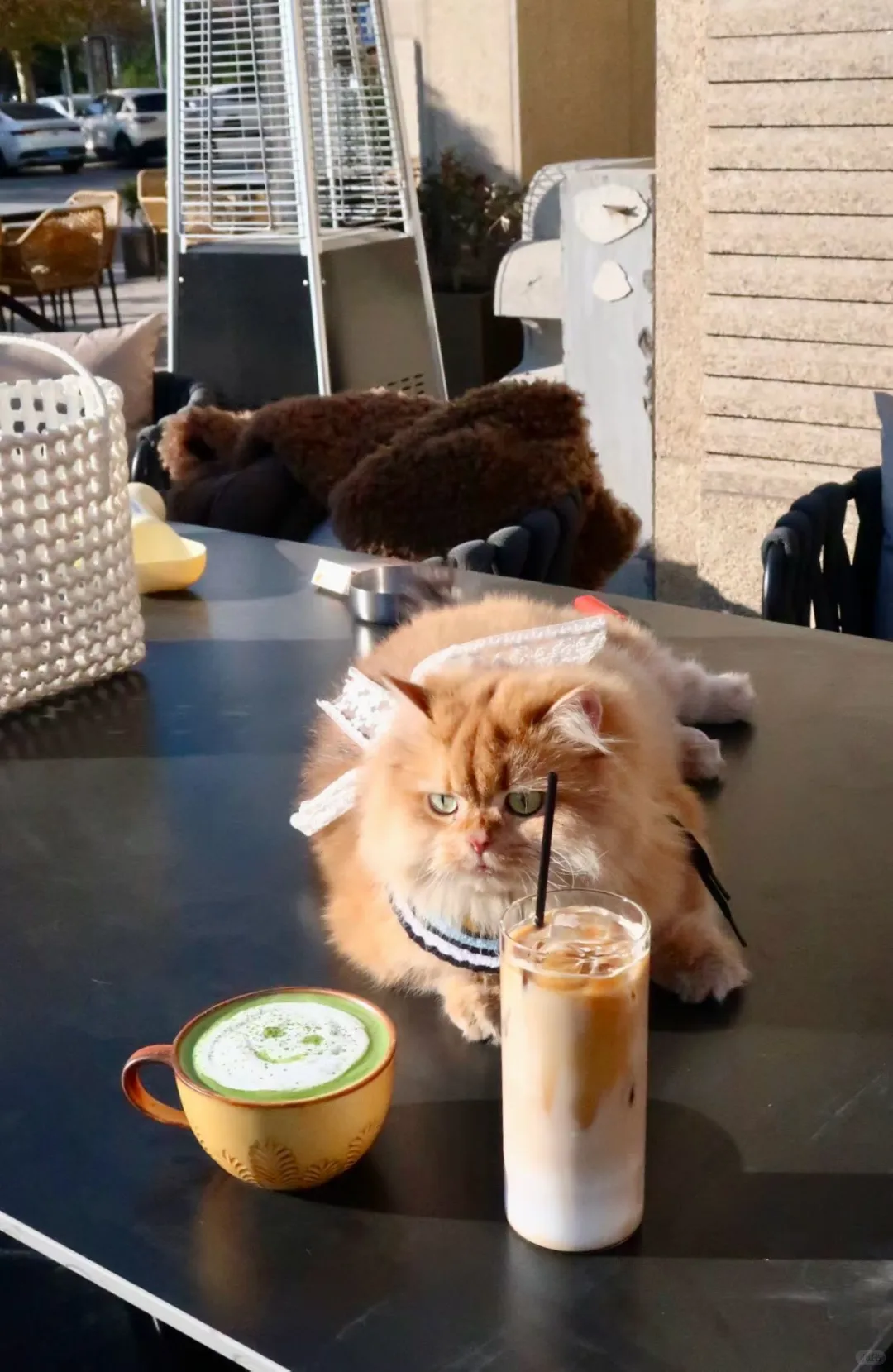 迄今为止安阳最喜欢的咖啡馆出现了！