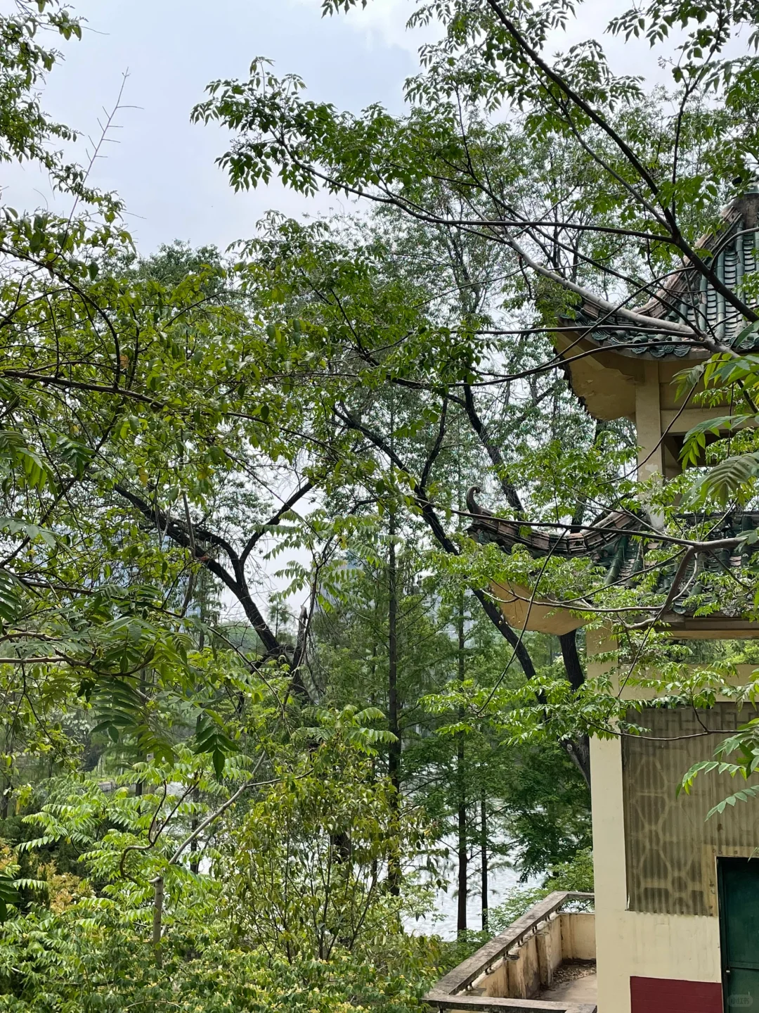正点到站，安阳站🚉