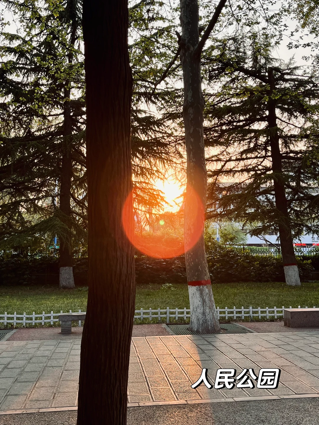 关于我一年内去了三次安阳