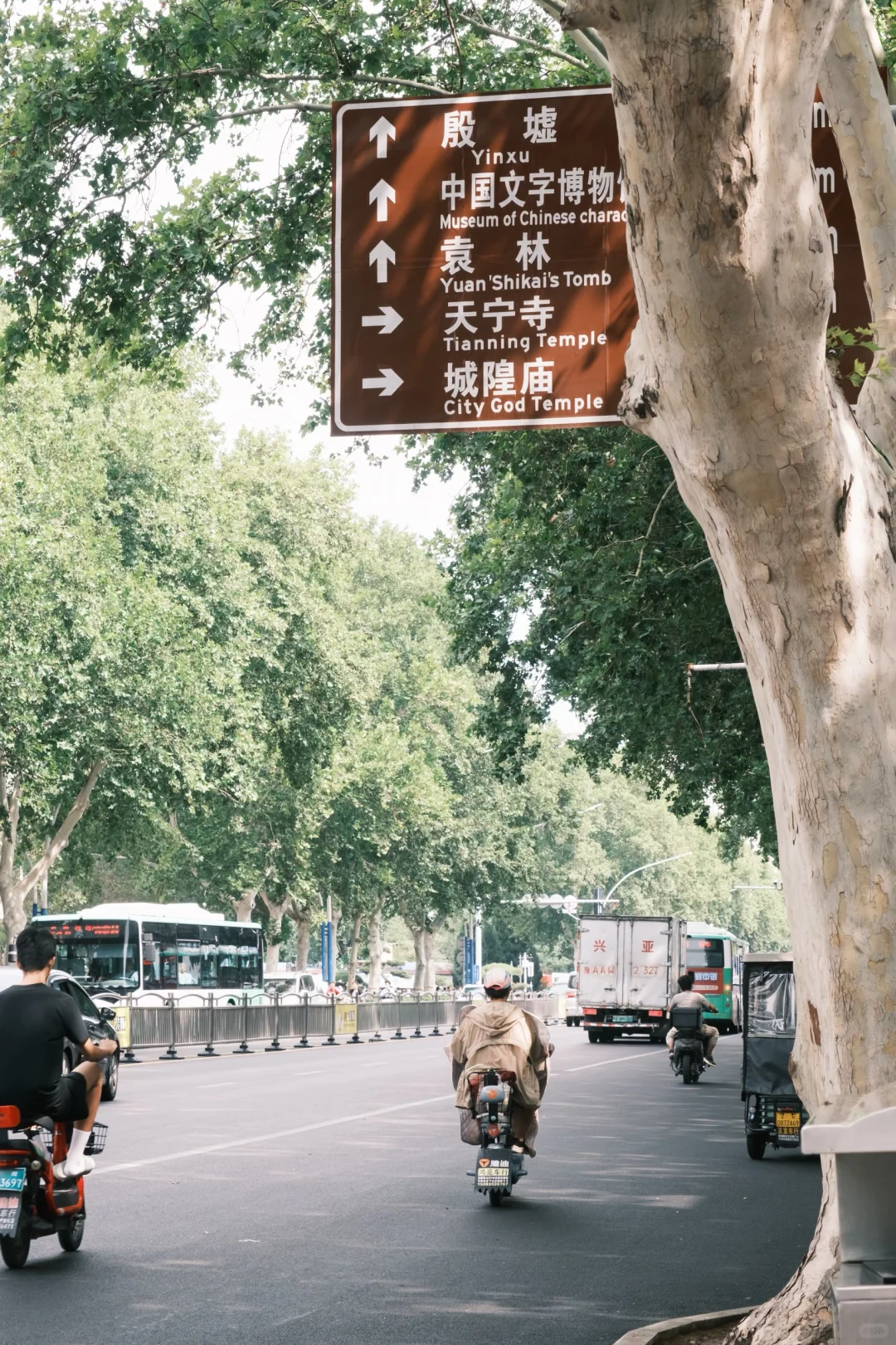安阳 | 穿越三千年，七朝古都的时空漫步