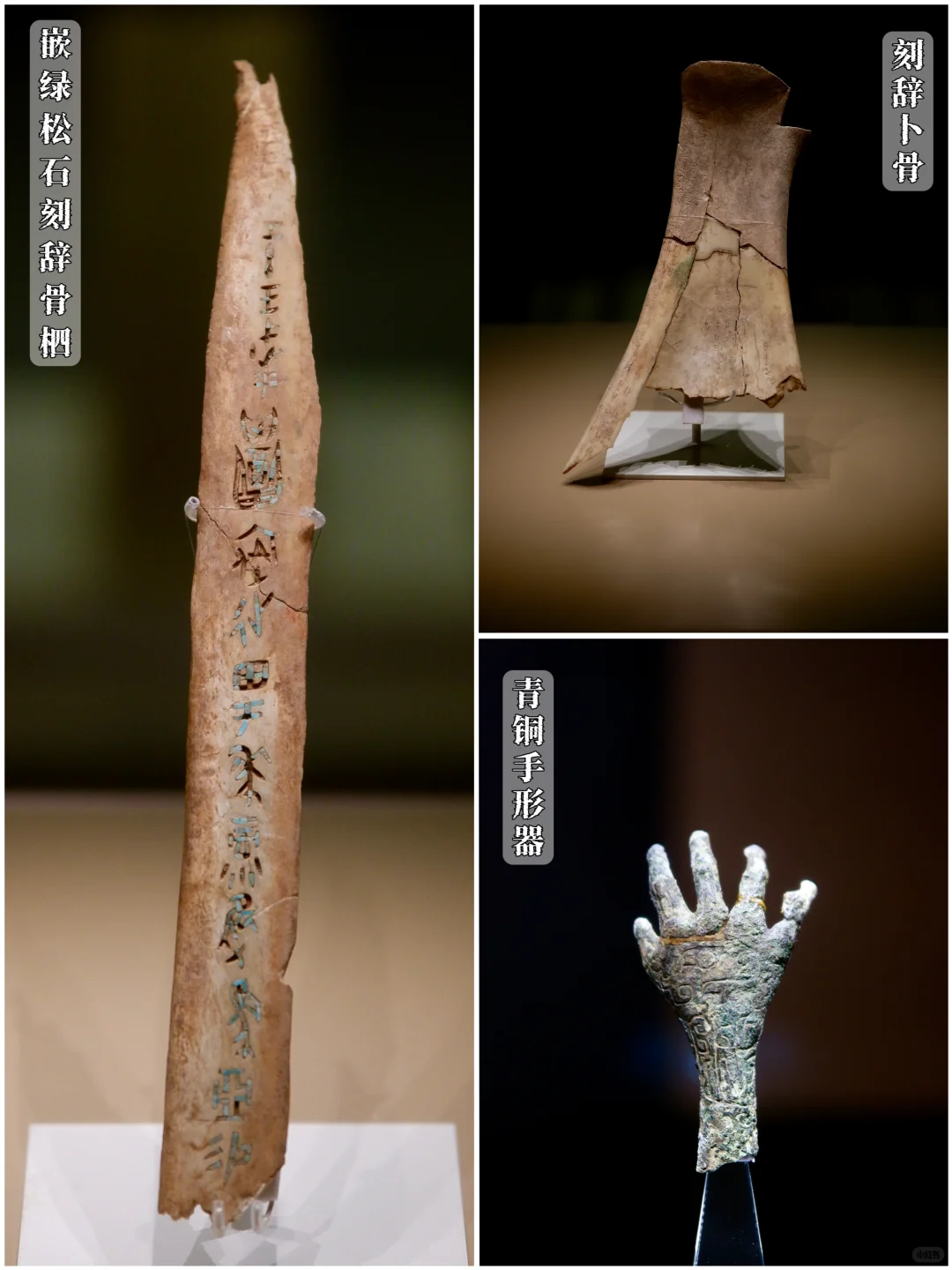 📚安阳殷墟博物馆丨穿越3000年的商朝之旅