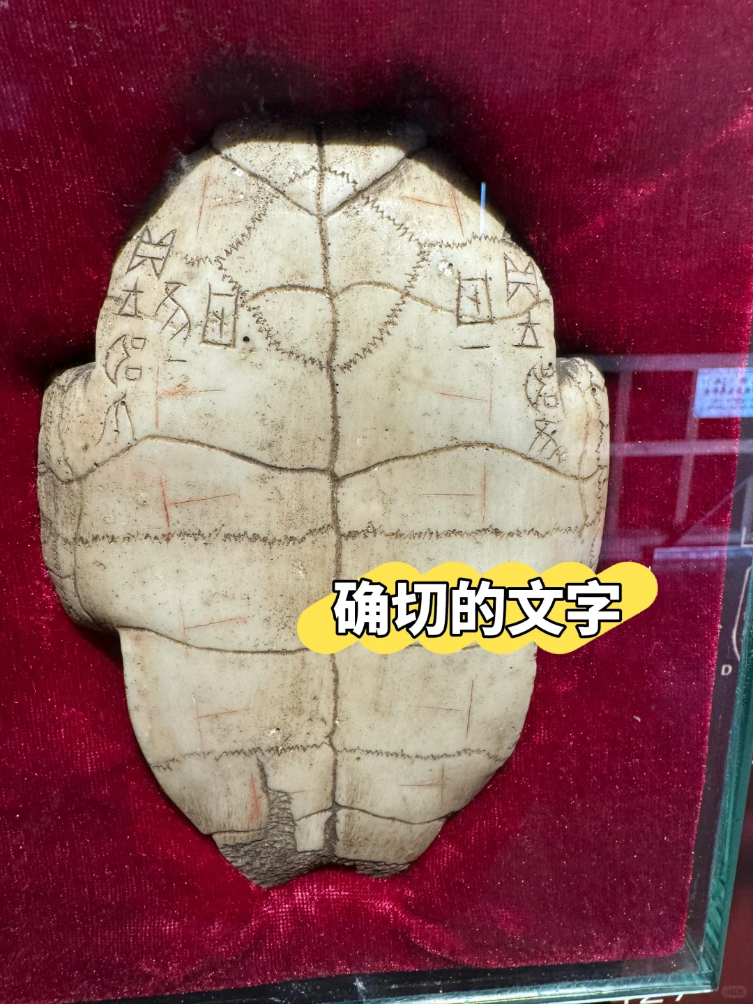 破解历史的钥匙-殷墟博物馆