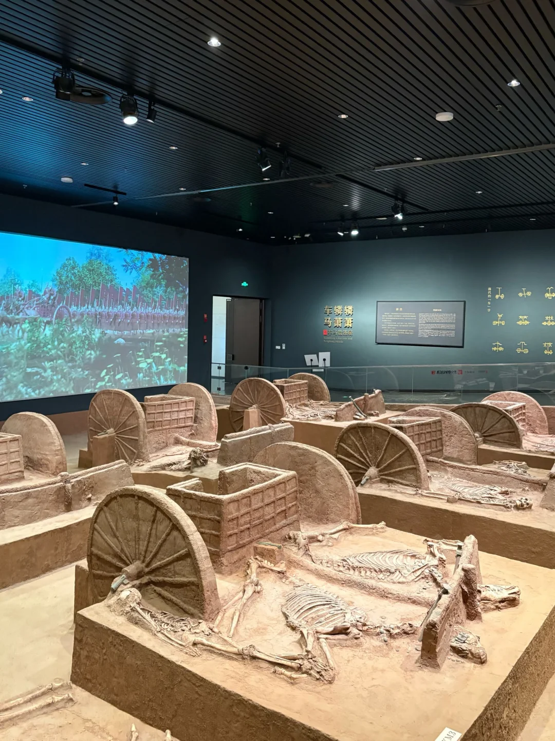 来到安阳🐾一座被低估了的宝藏小城