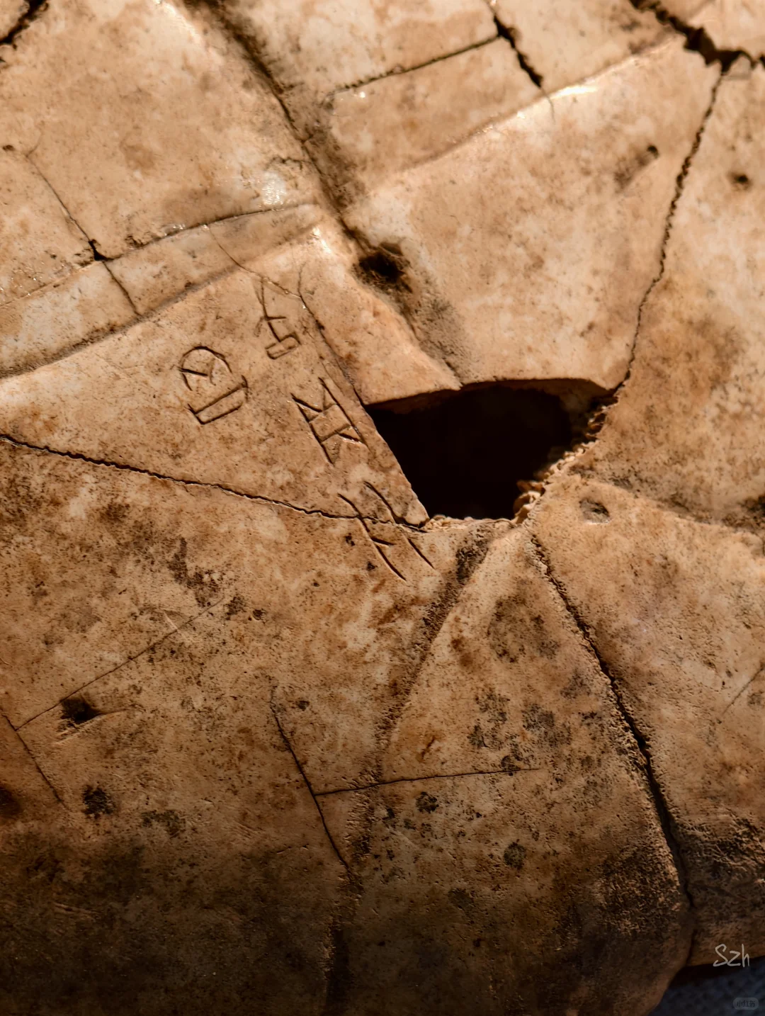 疯狂旅游记丨安阳DAY3