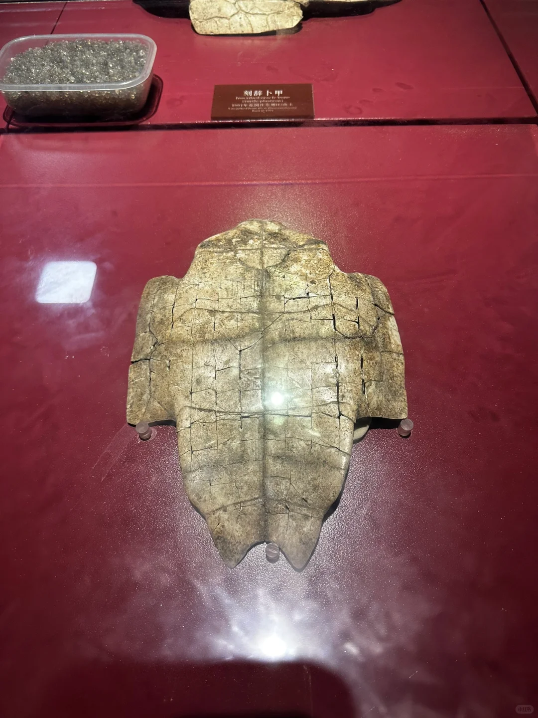 安阳两日游可以这样玩（一）✈️