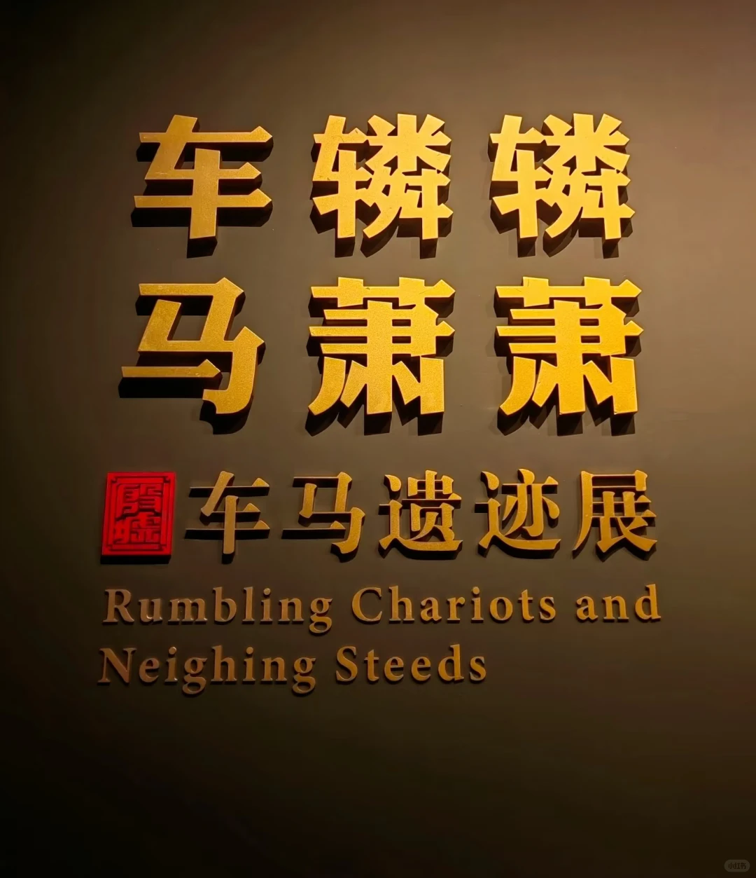 嘘！安阳把商朝的日记本挖出来了📖