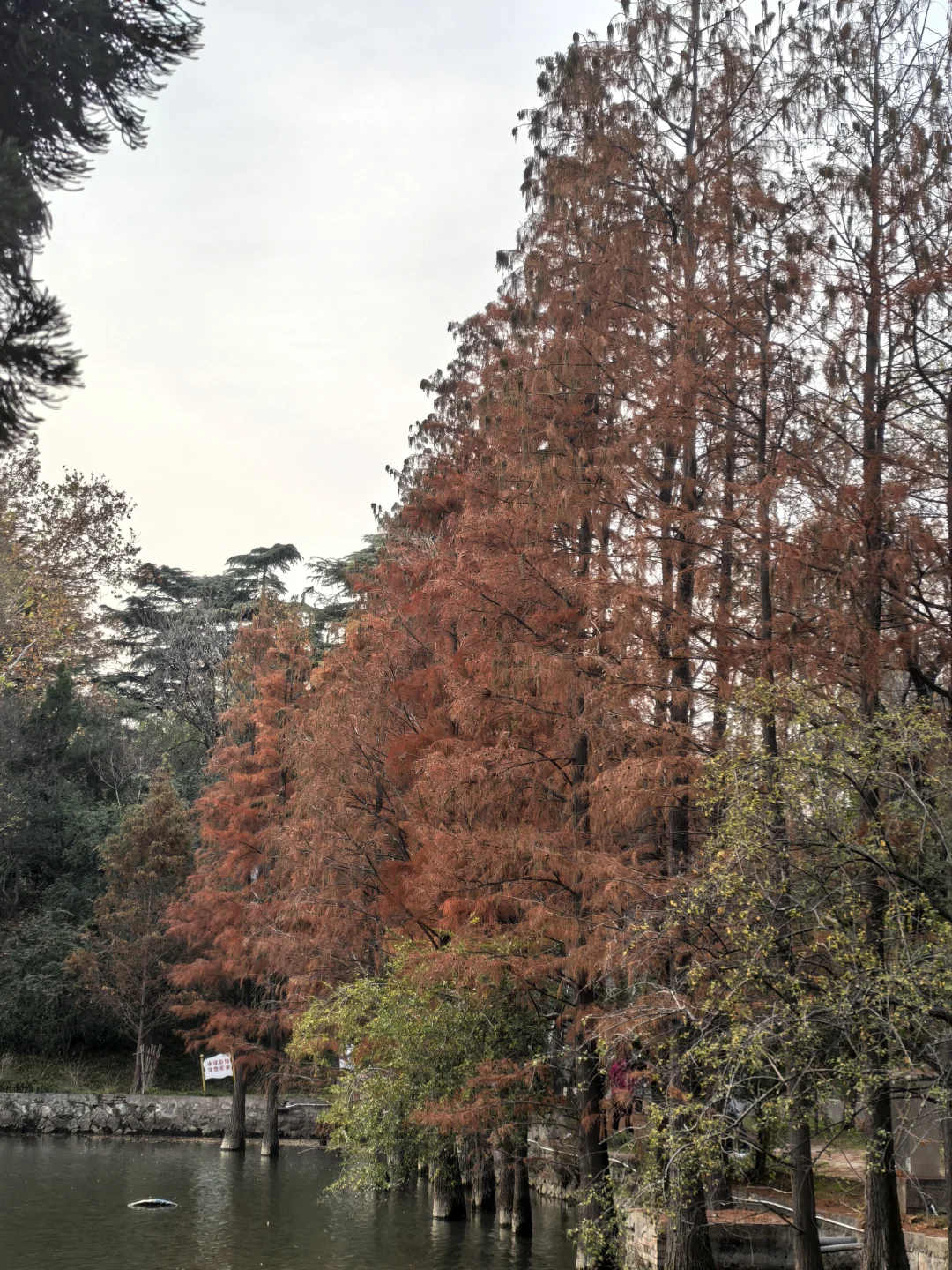 洹园独美 | 安阳有自己的江南