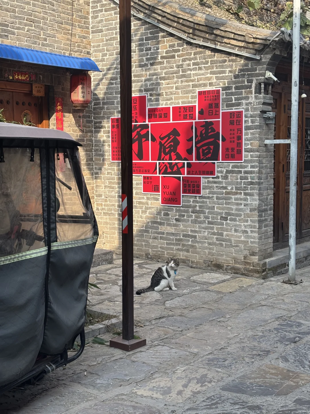 小王日记11月4日安阳day4