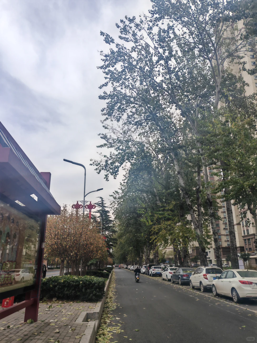 感觉安阳这个城市好割裂