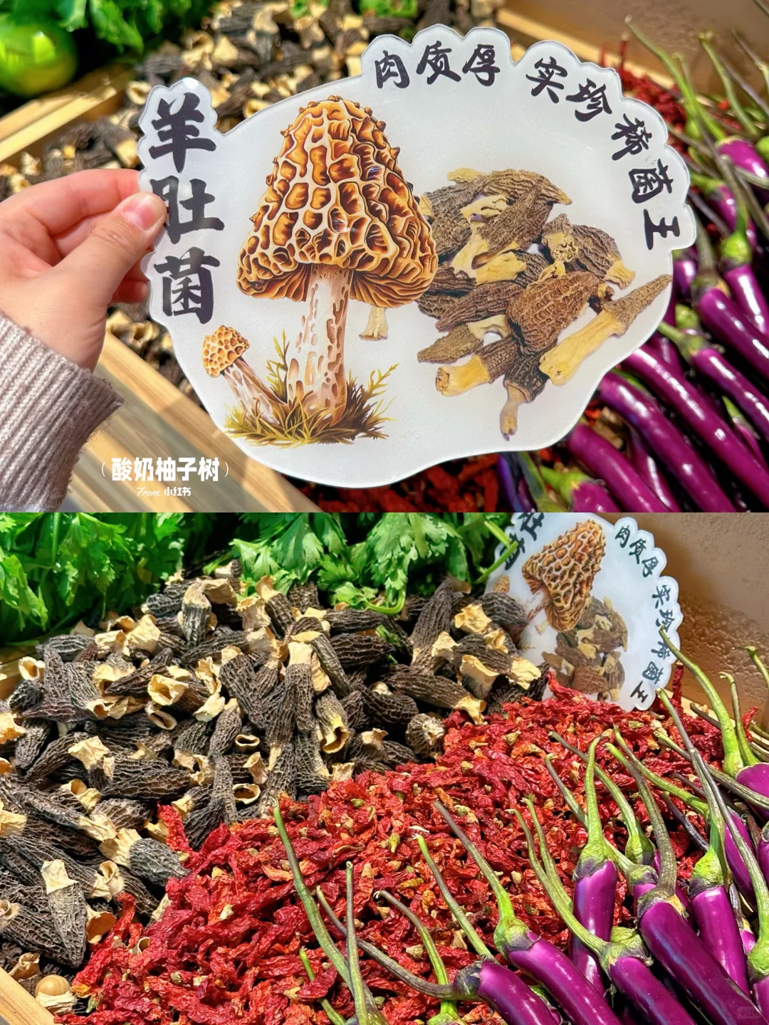 开了！！预计是安阳下一个排队王🥹🥹