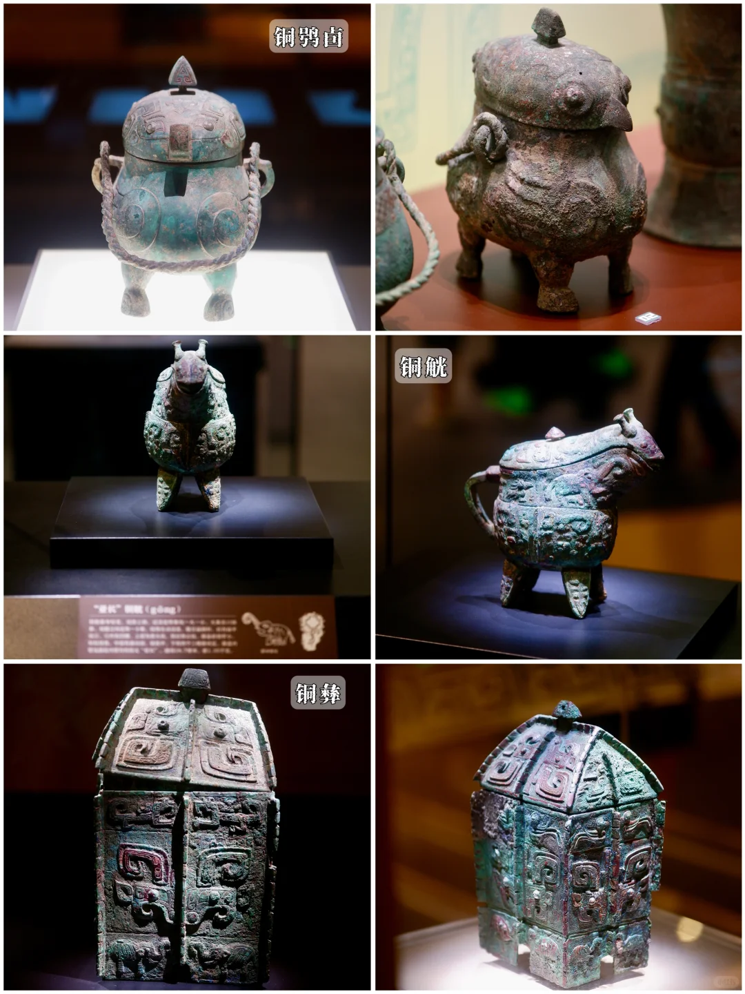 📚安阳殷墟博物馆丨穿越3000年的商朝之旅