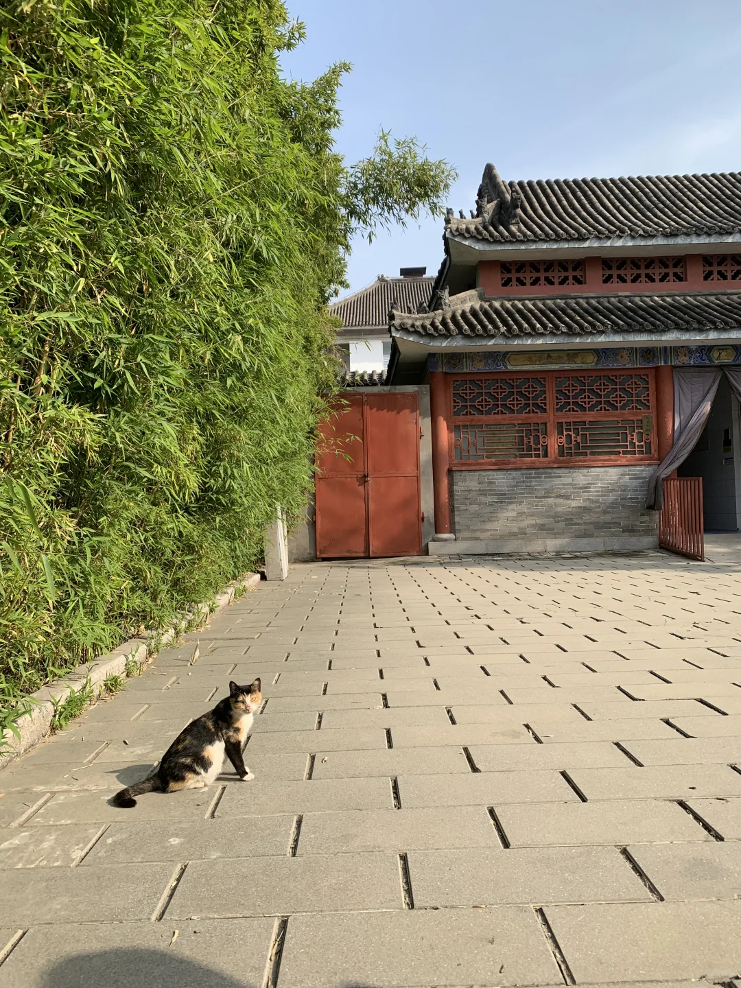 安阳 city walk (一)