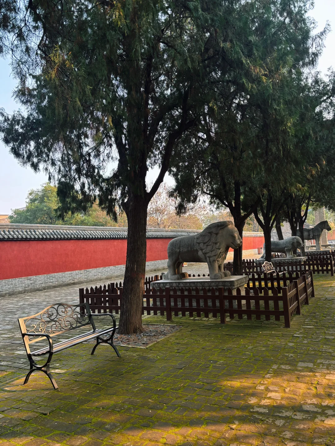 小王日记11月4日安阳day4