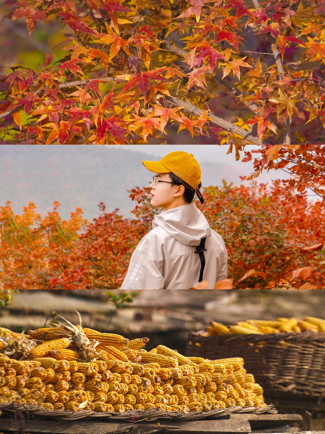 北京出发3h🚄河南被严重低估的山水秘境！